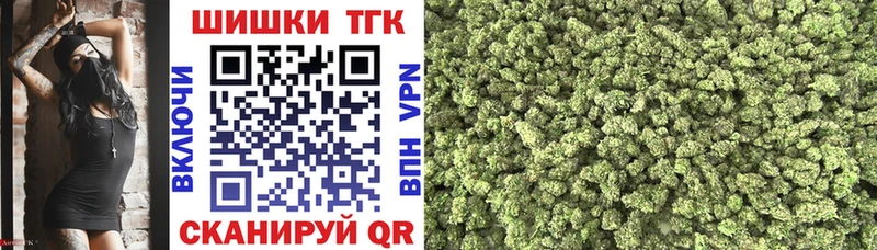 МЕФ Грозный