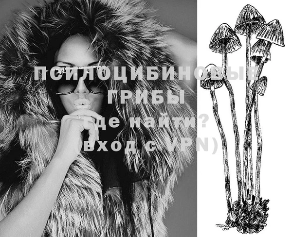 СК Куйбышев