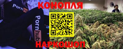 прущие крисы Бугуруслан