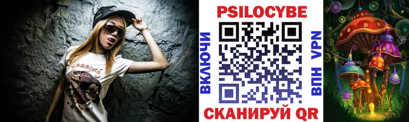 где продают   kraken зеркало  Галлюциногенные грибы Psilocybine cubensis  Грозный 