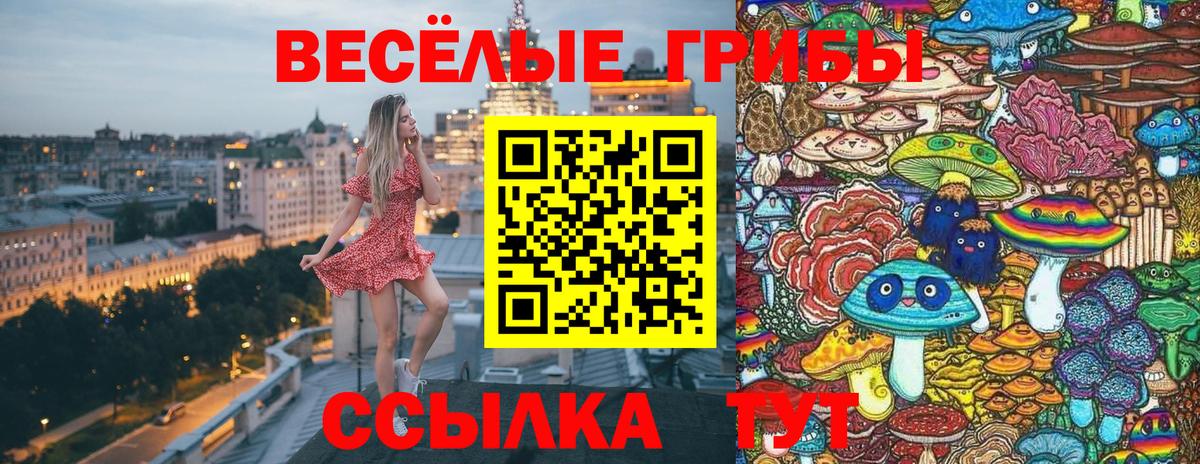 Грозный  Галлюциногенные грибы Psilocybe  Вход с VPN 