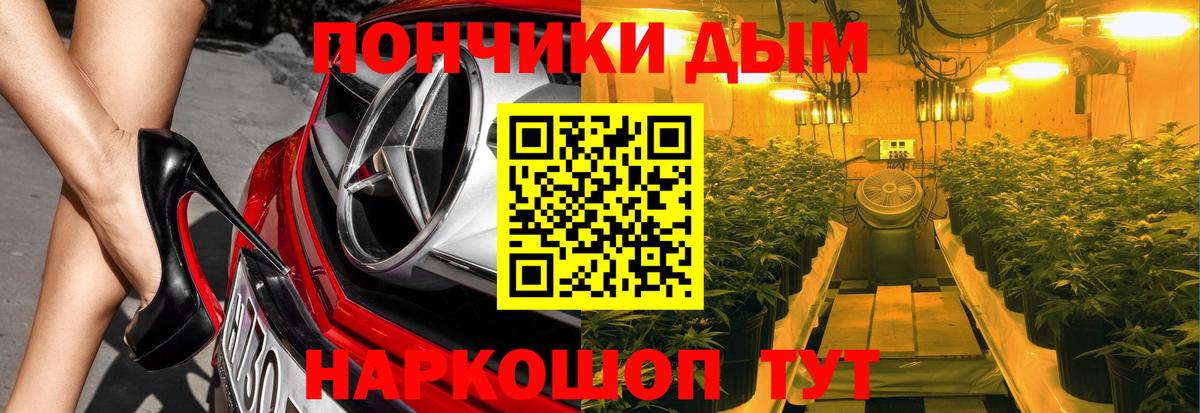 Бошки Шишки OG Kush  Грозный  Конопля план 